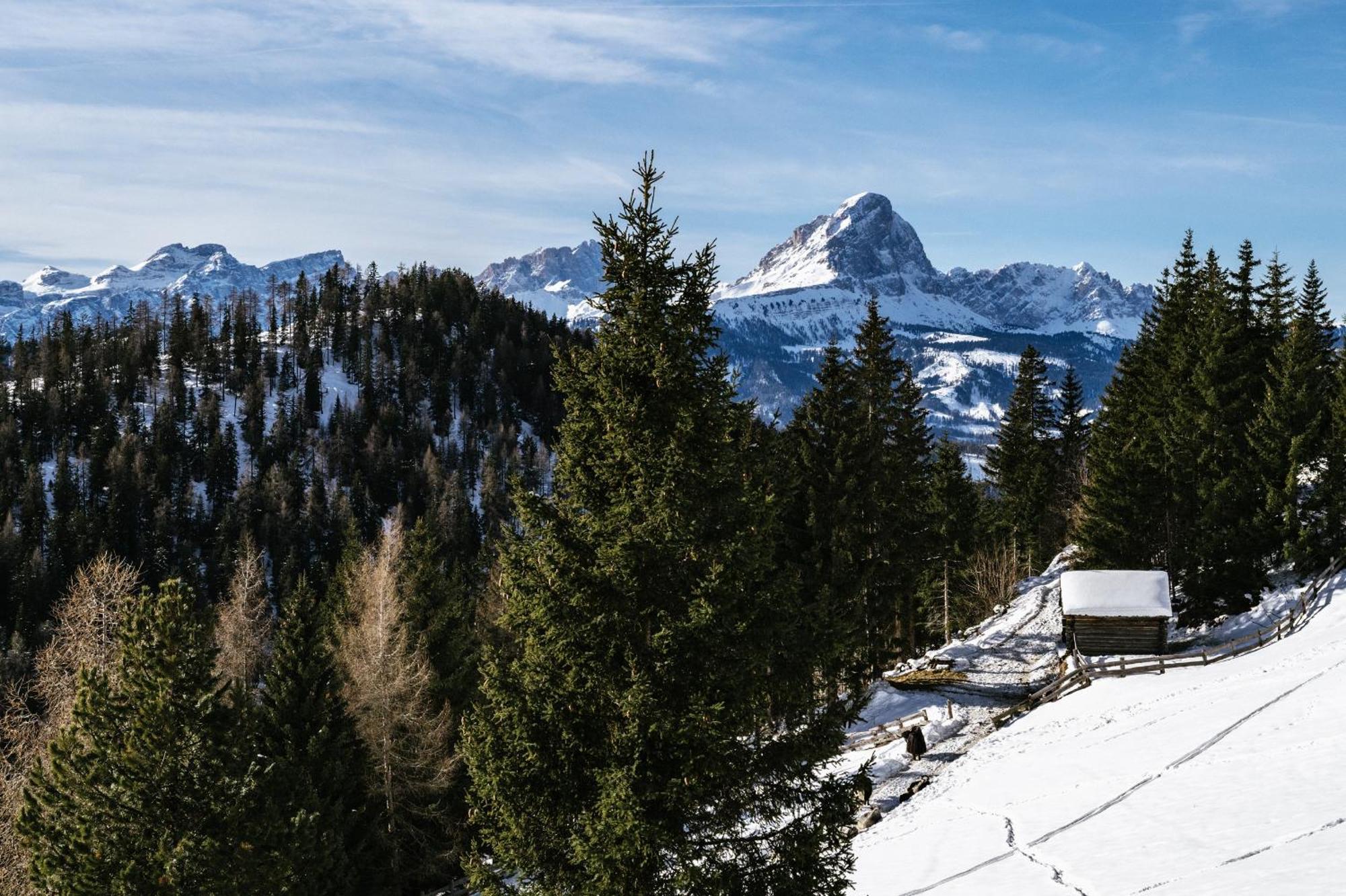 Alpine Hotel Gran Foda' 圣维吉利奥 外观 照片